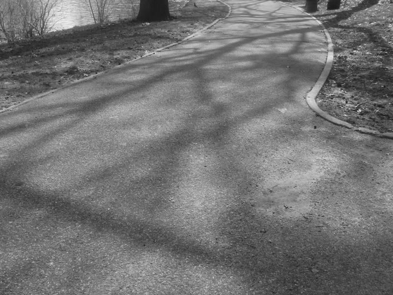DSC08720-1.jpg