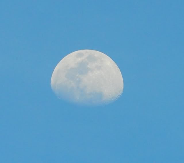 moon3.jpg