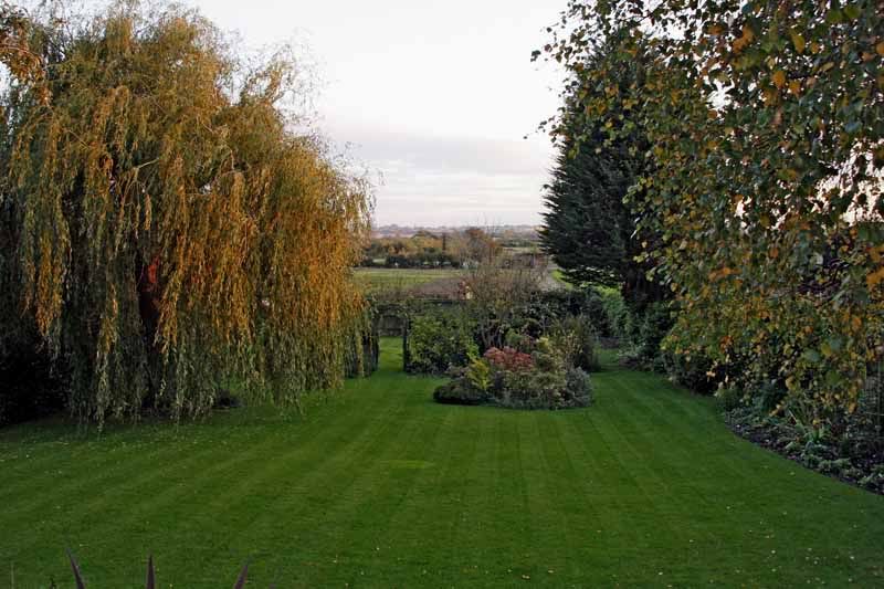 garden.jpg