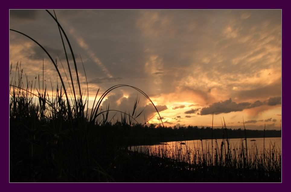 sunset.jpg
