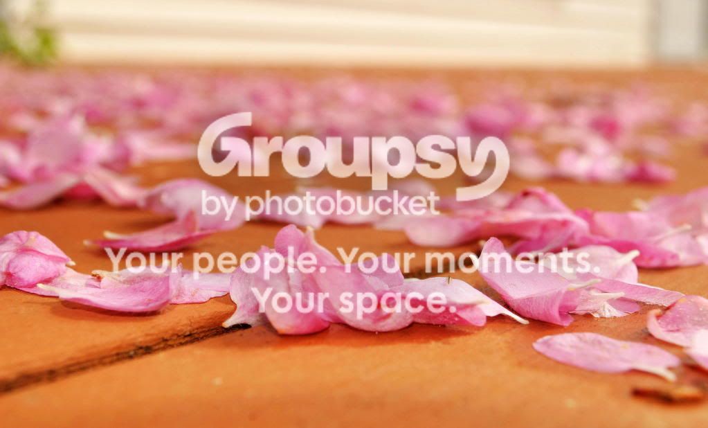 Petals.jpg