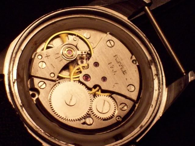 100_1725.jpg