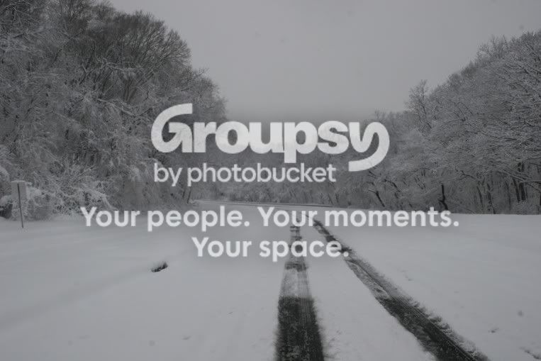 Snowy011.jpg