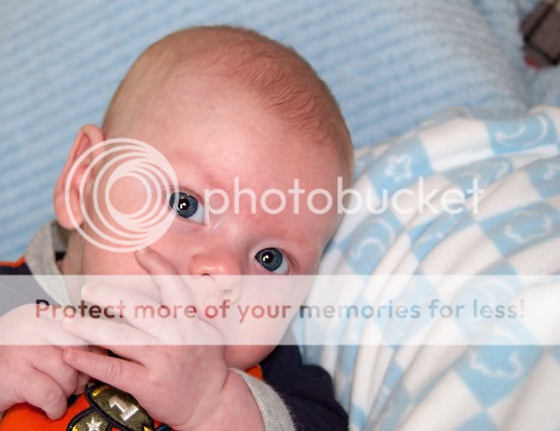 47504134.jpg