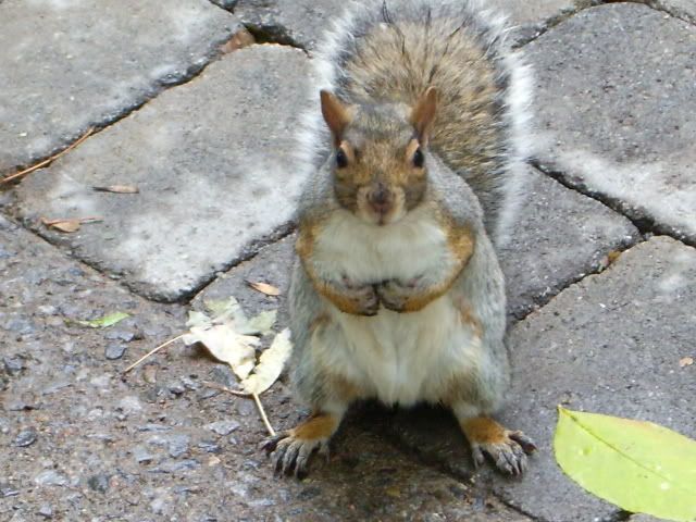 IMGP0864.jpg