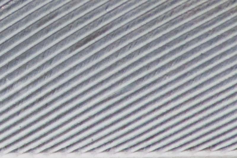 Macro-119.jpg