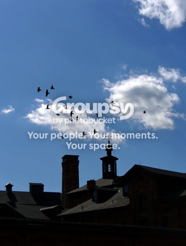 DistilleryDistrict-0476EDIT.jpg