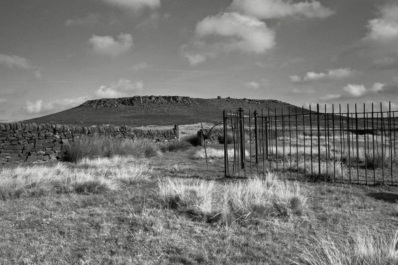 IMG5541-2B-W-L.jpg