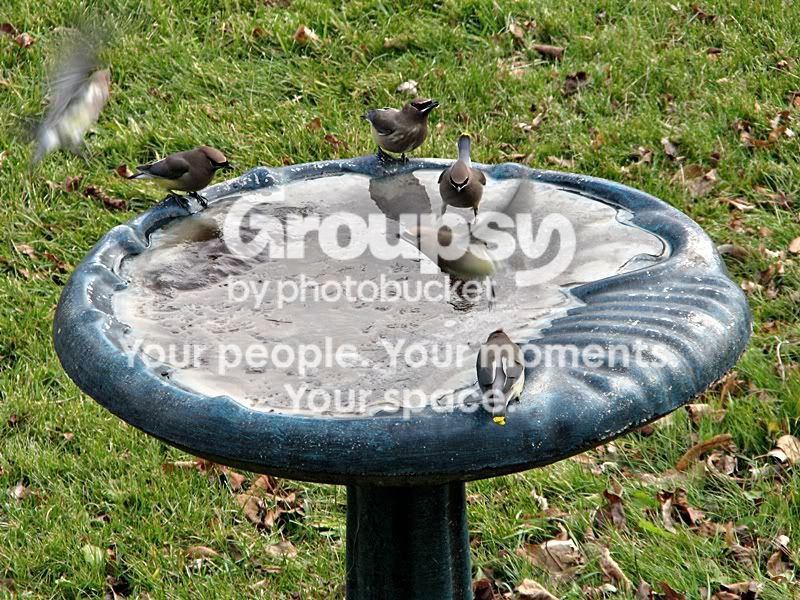 IMG_4135sm.jpg