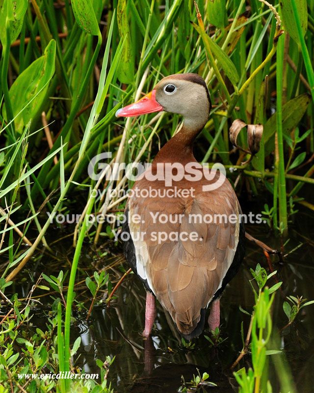 PIC_6938copy.jpg