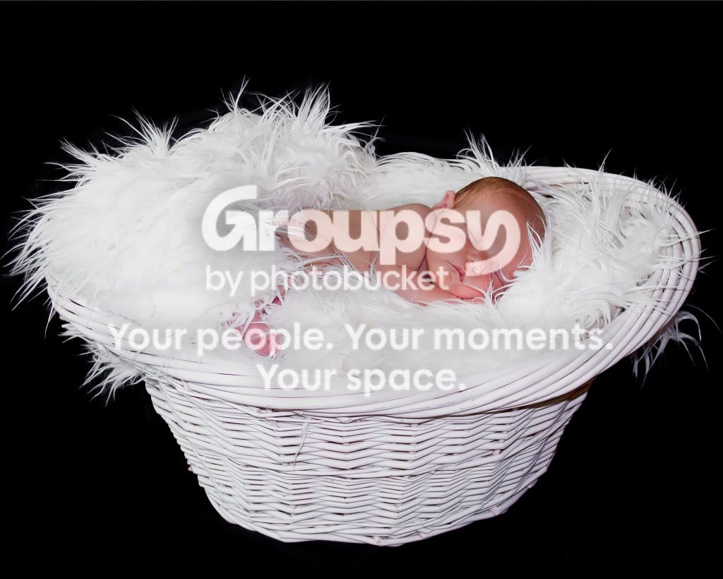 Slumberbasket.jpg