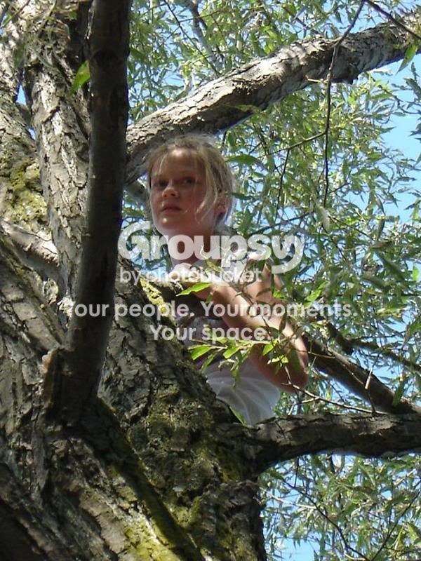 vanesatree.jpg