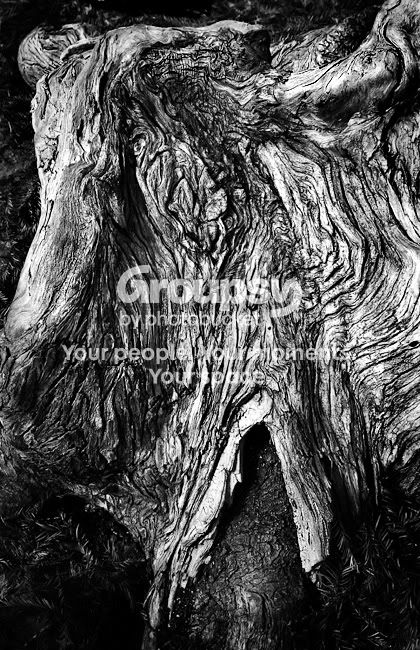 logdetail-sm.jpg