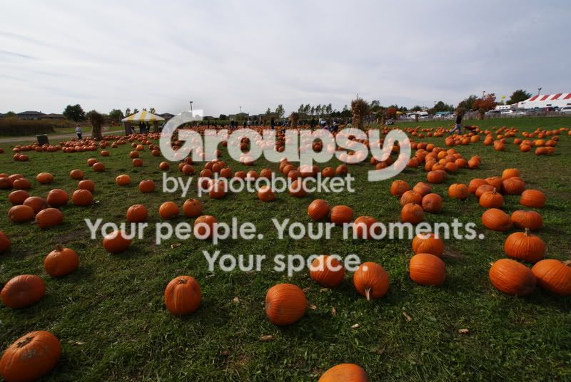 DSC05058.jpg