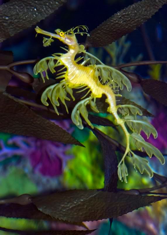 seaworld15small.jpg
