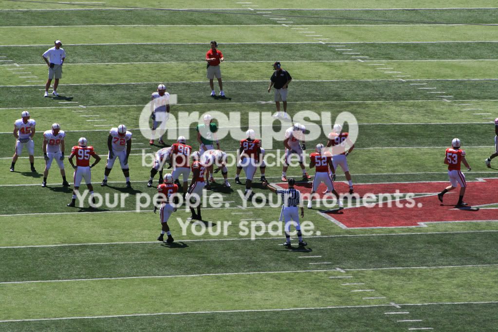 IMG_8279resized.jpg
