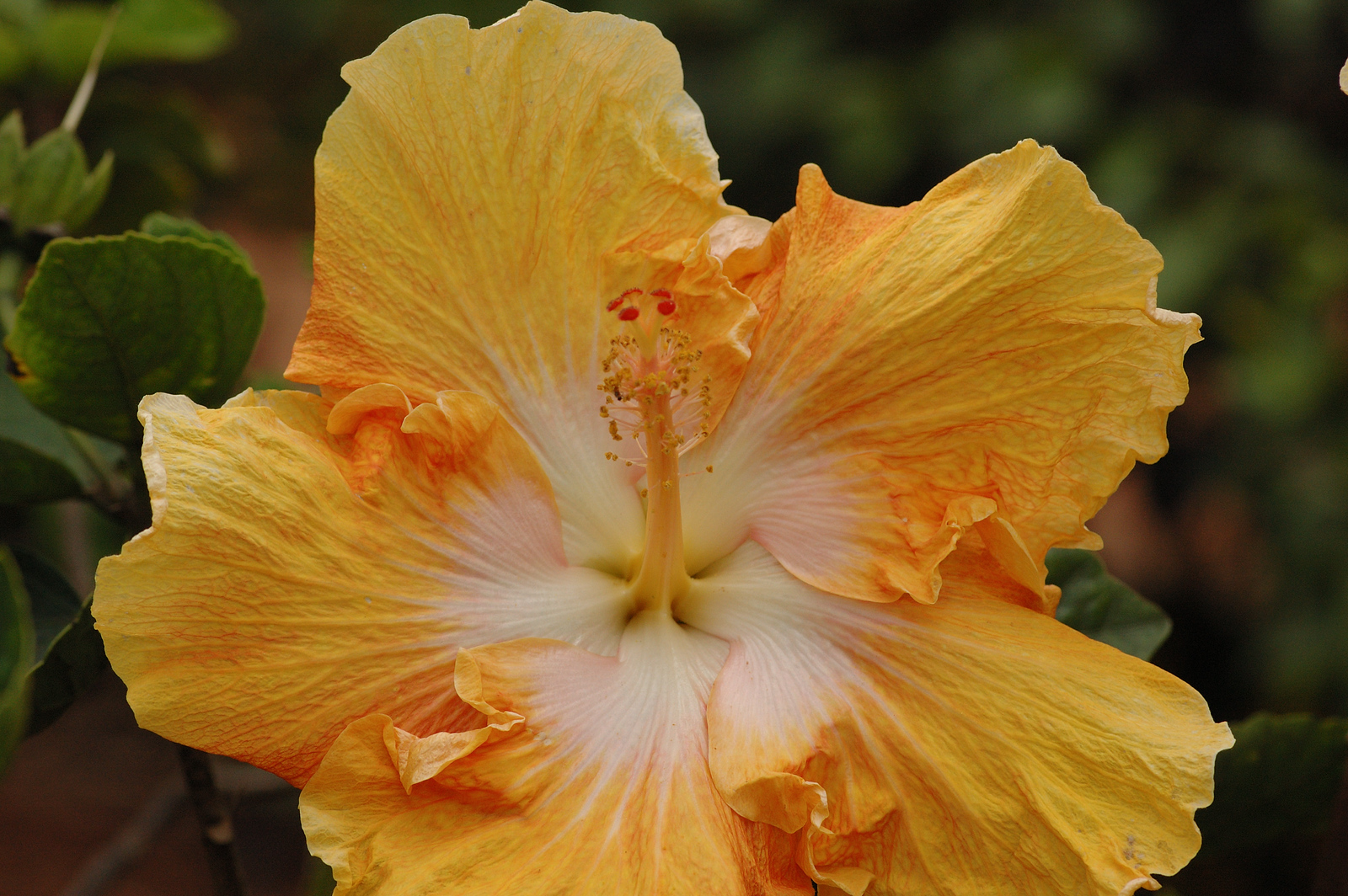 DSC_0094-X3.jpg