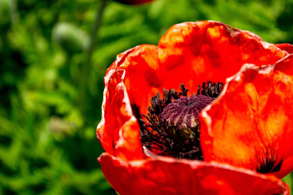 9e739436f1a9b79b54cad3c1dc8b96eb_zps1e824ac4.jpg