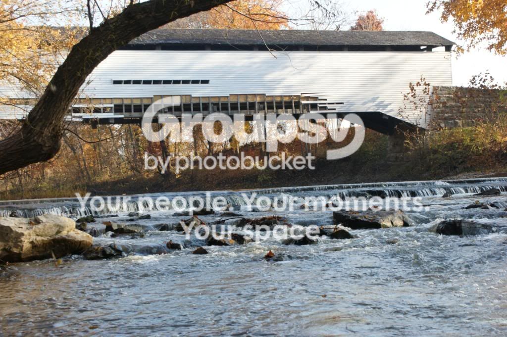 fall020.jpg
