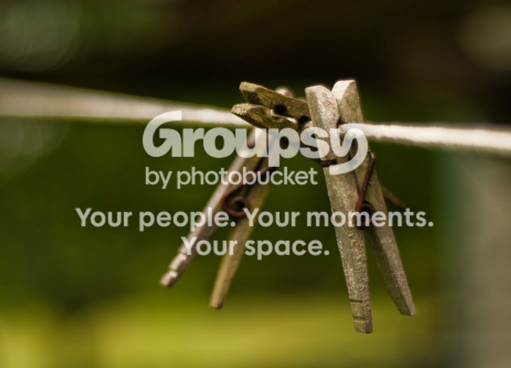 clothespins.jpg