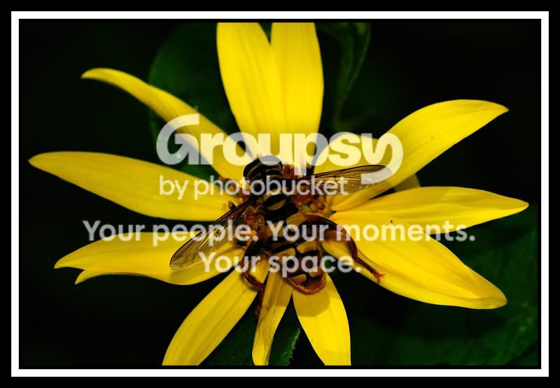 2008-07-28_7web.jpg