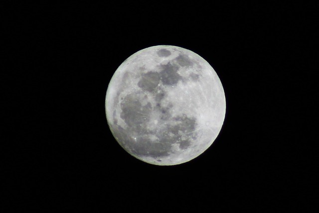 5455131320_48c8235014_z.jpg