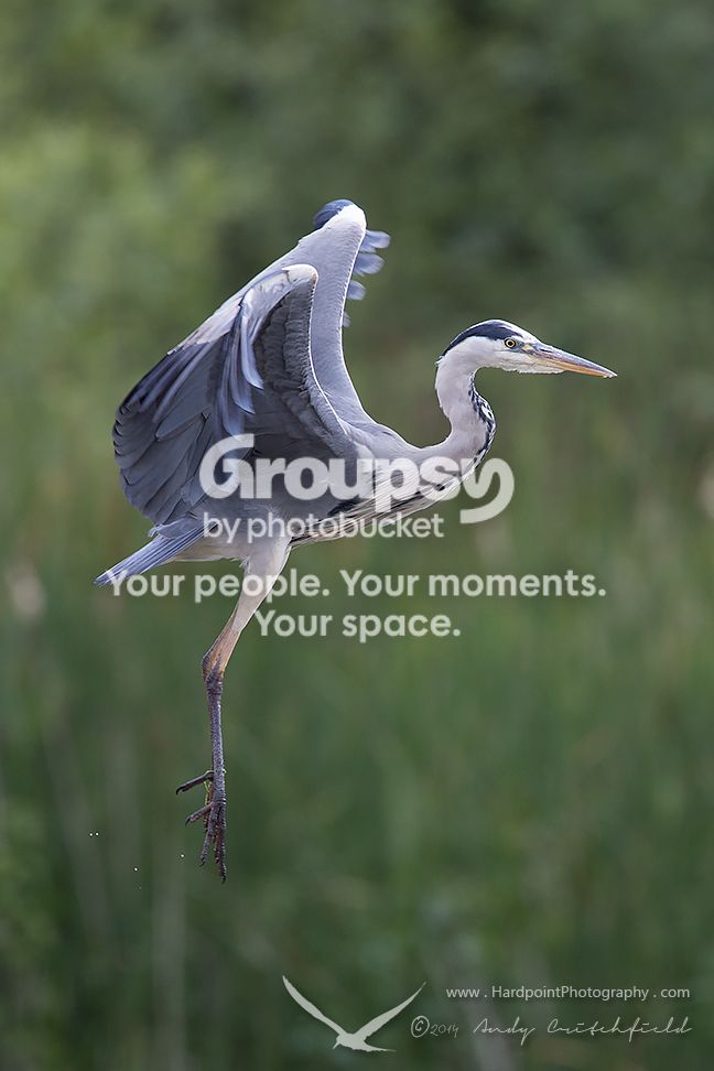 _HPP1043_zpsa2ca2fba.jpg