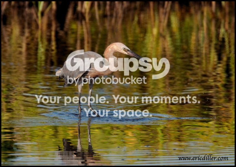 PIC_8840copy.jpg