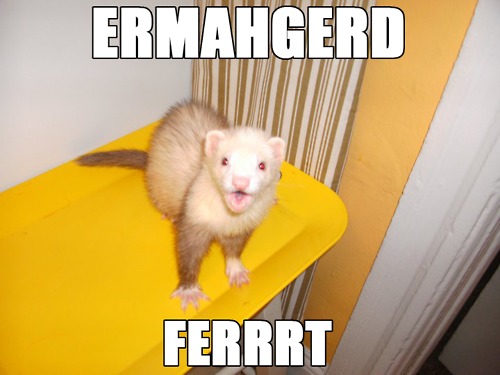 tumblr_m6j5doeAfQ1qkbk3j.psd