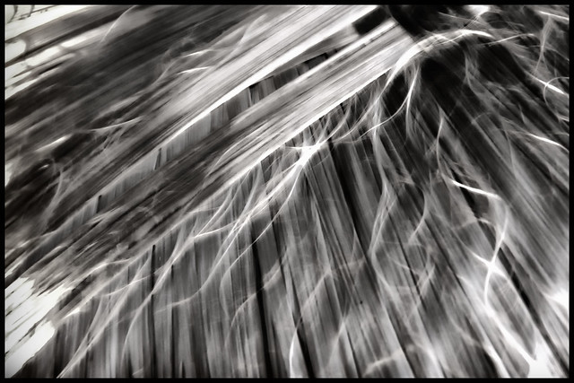 4740719088_7e3a2319c8_z.jpg