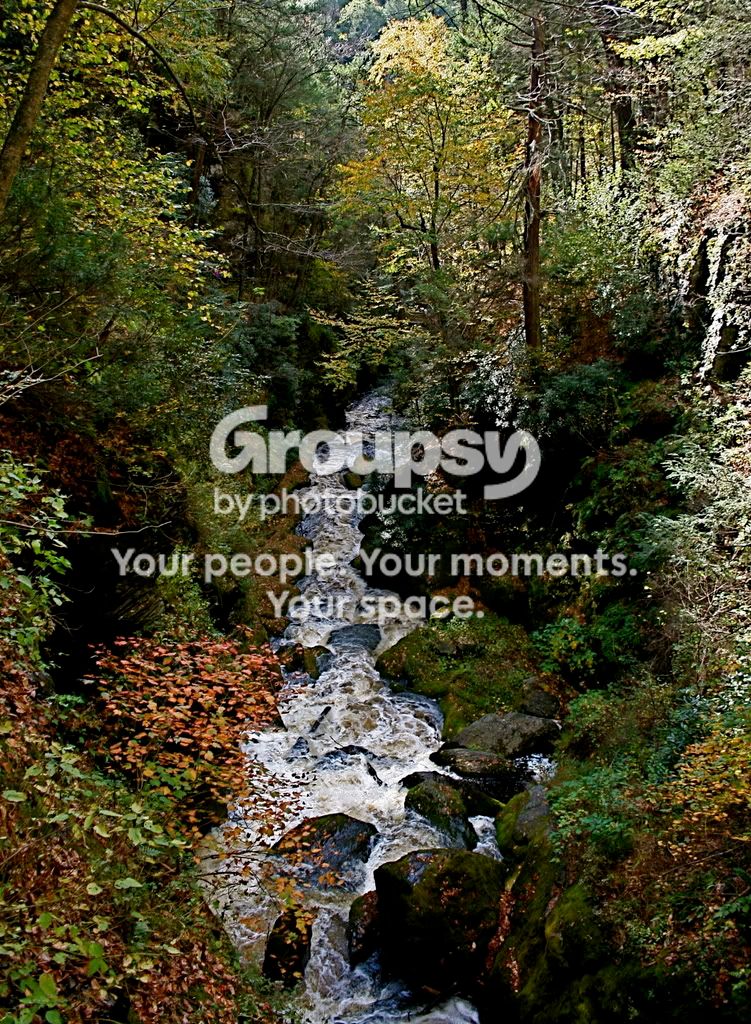 bushkillfalls007.jpg