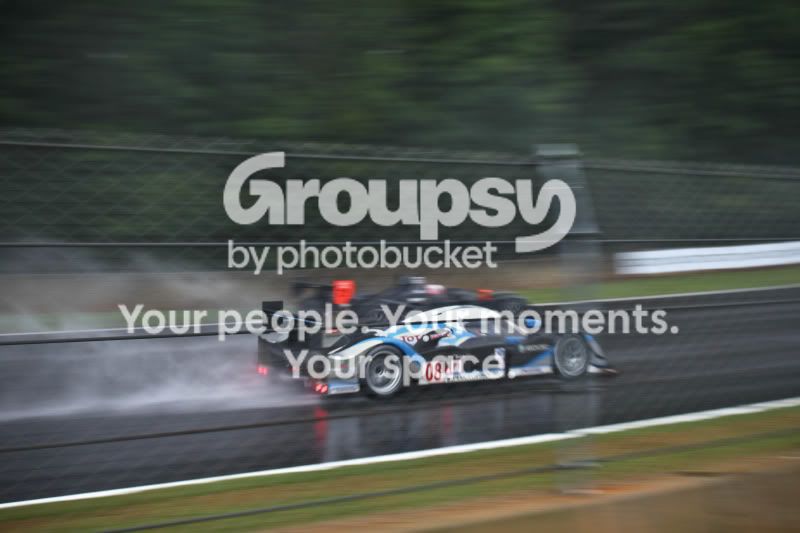 IMG_8283.jpg