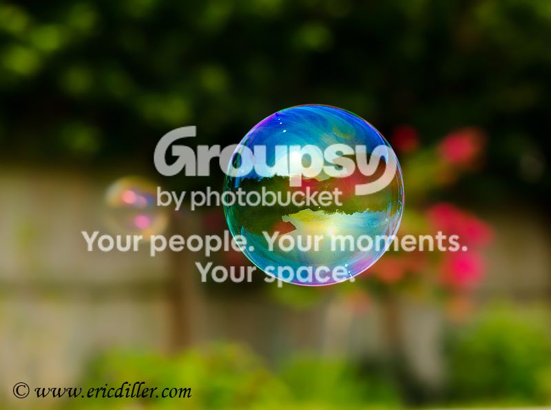 _ECD1654-copy800.jpg
