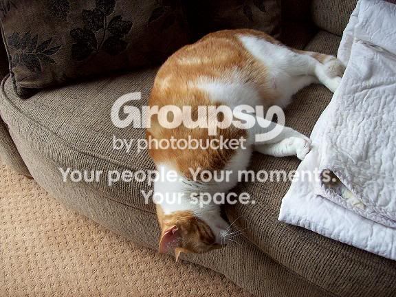 charmieandthebaslket017.jpg