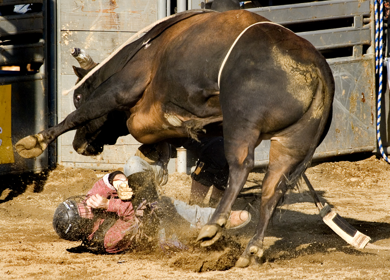 San%20Dimas%20Rodeo%2040-L.jpg