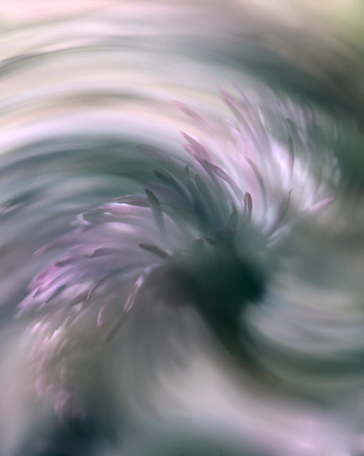 8625509732_1a35e43b74_z.jpg