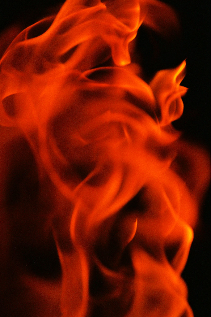 6401083993_395d783100_b.jpg