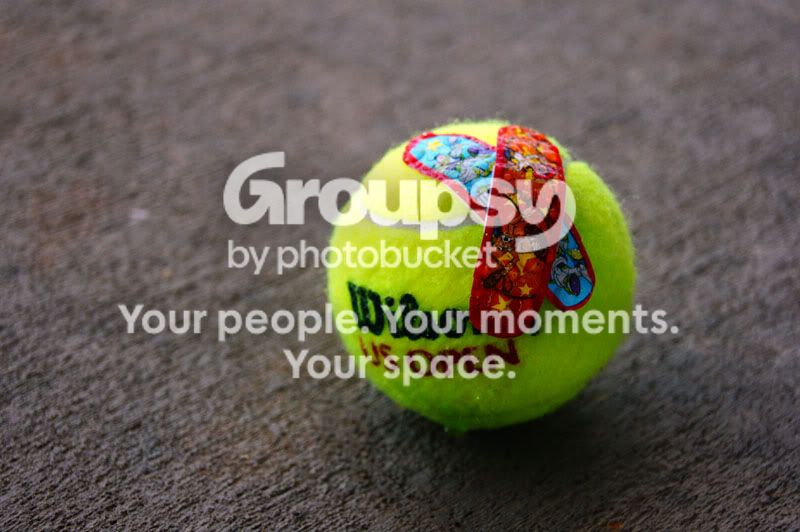 tennisball.jpg