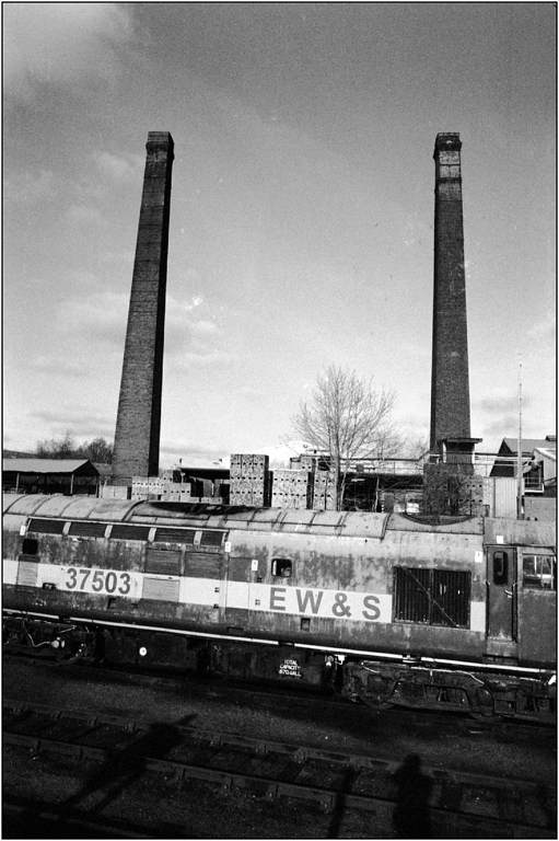 scan204-XL.jpg