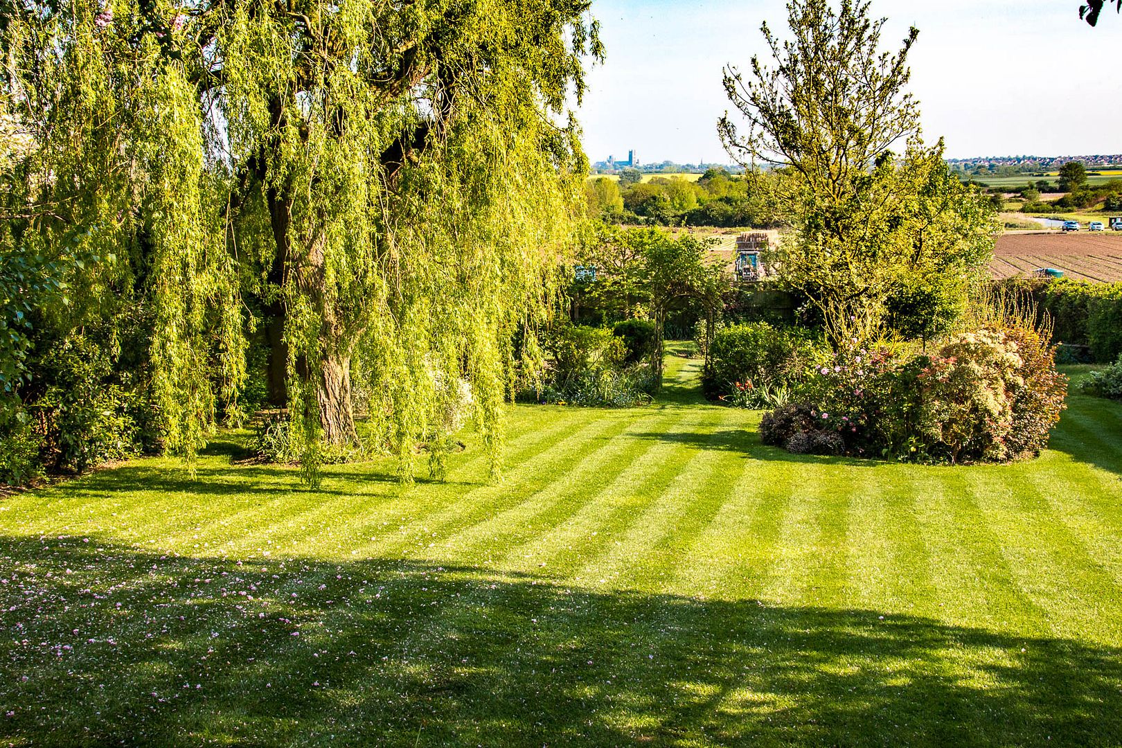 garden1_zpslo87vyff.jpg