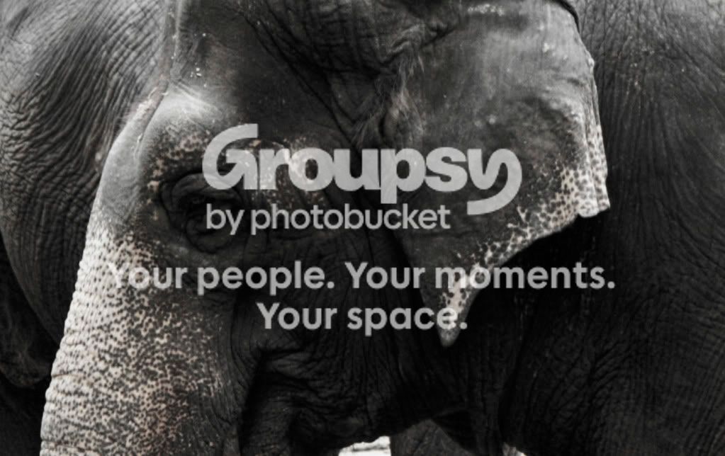 elephant.jpg