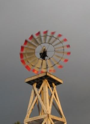 windmill.jpg