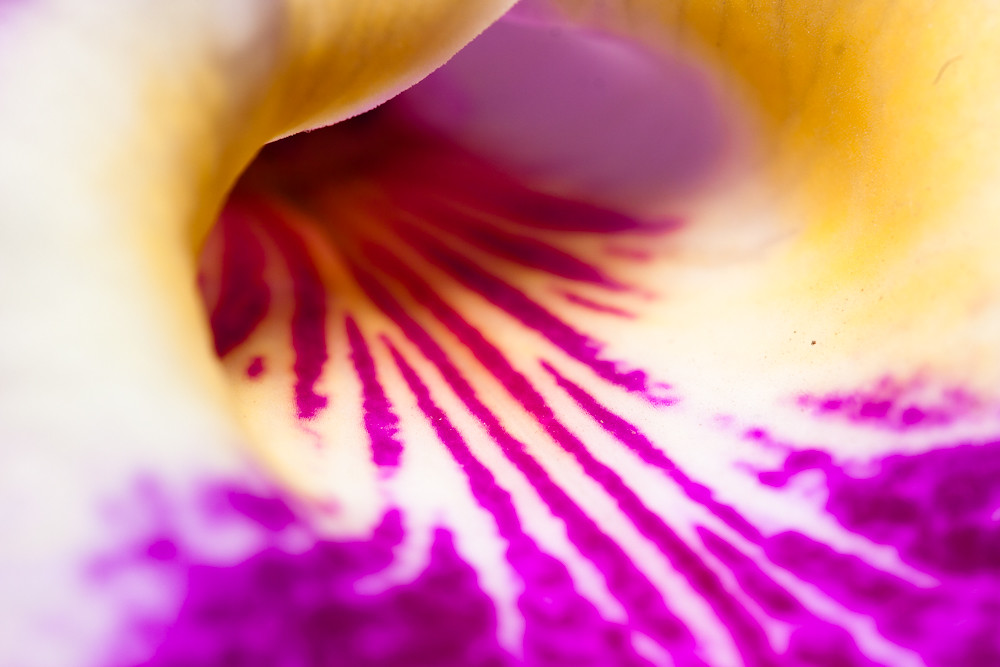 5516002112_dccf8b767c_b.jpg