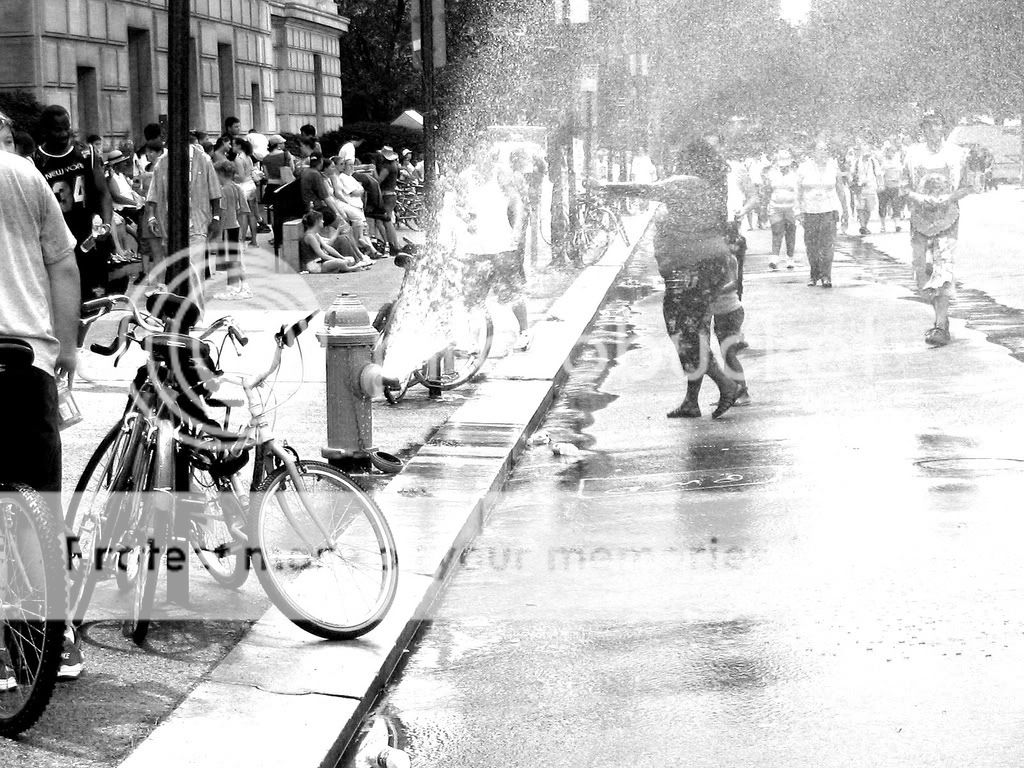 414005235_a8faf7f478_b.jpg