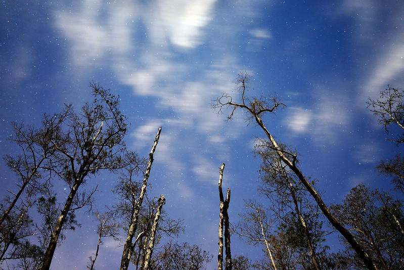 11999174723_c09d4fa78d_c.jpg