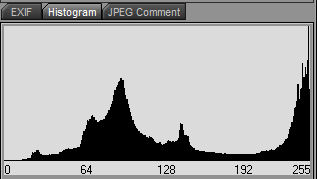 histogram1.jpg