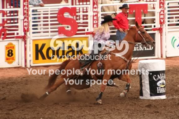 Stampede11.jpg