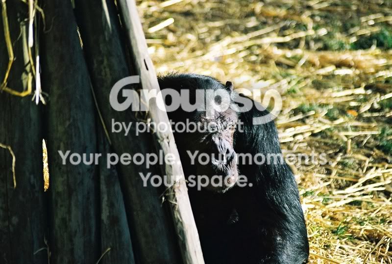 383745062_f40382df04_b.jpg