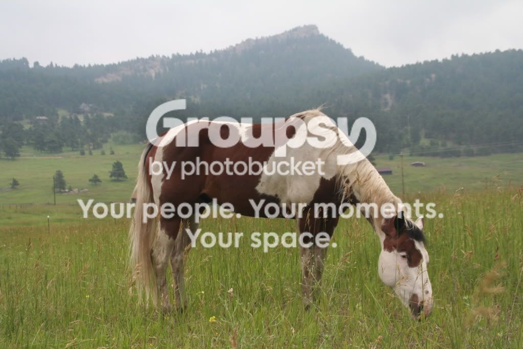 ImportedPhotos00014.jpg