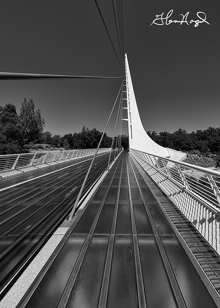 p2507959254-4.jpg